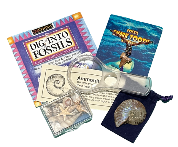 Dig into Fossils Educational Box